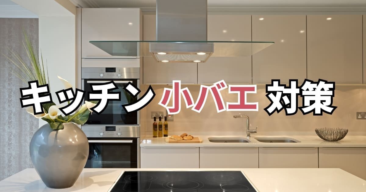 バエ対策の完全ガイド｜発生源から駆除・予防まで徹底解説